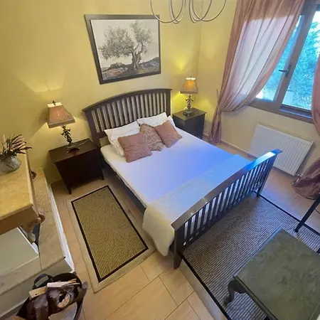 Hotel Mountain View Synikia Mesi Trikalon