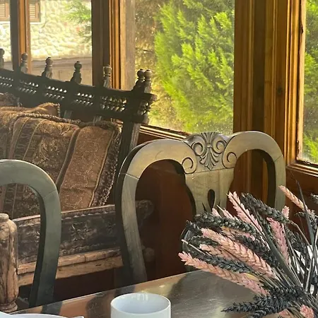 Mountain View Otel *