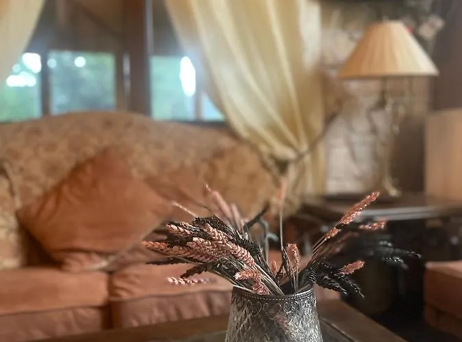 Mountain View Szálloda