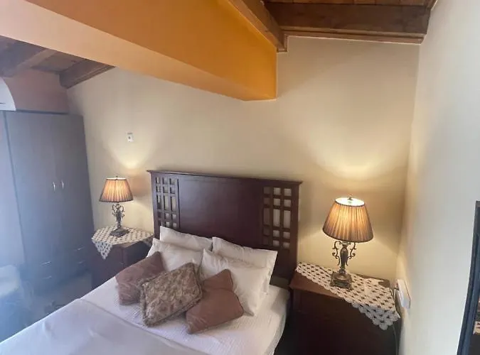 Hotel Mountain View Synikia Mesi Trikalon