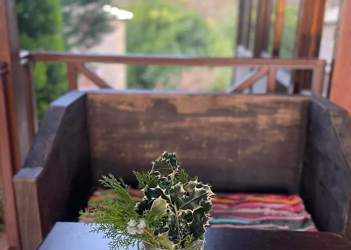 Mountain View * Mészi Szinikía Trikálon